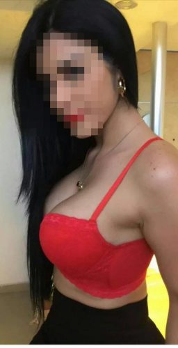 ankara escort